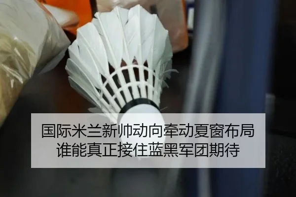 国际米兰新帅动向牵动夏窗布局 谁能真正接住蓝黑军团期待（lecaiwang）